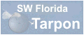 SW Florida Tarpon